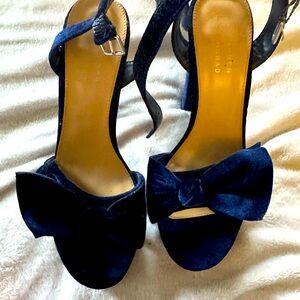 Navy blue velvet heels , Lauren Conrad size 8.5